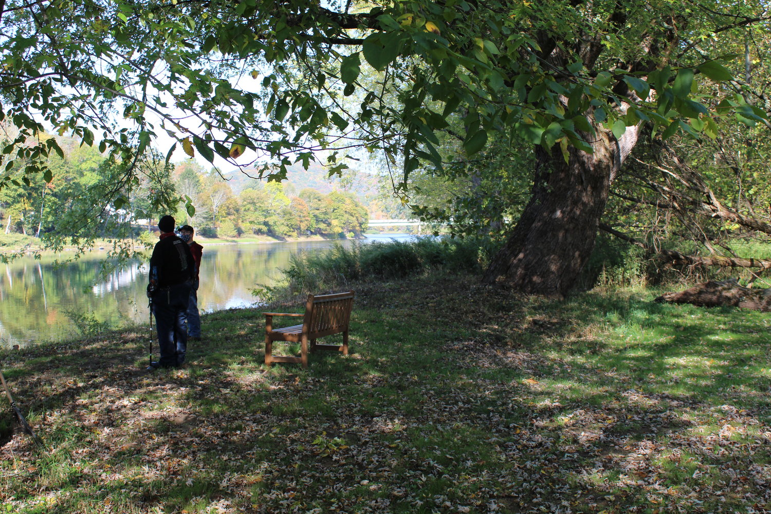 Callicoon park project stalled for now The River Reporter